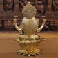 Lakshmiji idol on lotus